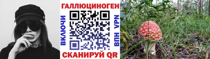 Галлюциногенные грибы MAGIC MUSHROOMS  Щигры 